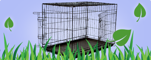 Des cage pratiques pour chaque chien